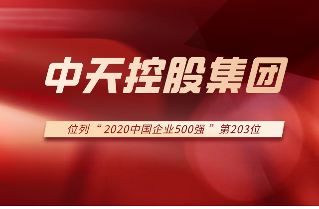 尊龙控股集团列2020中国企业500强第203位！
